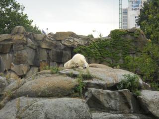DSCN1670.JPG