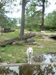 DSCN1659.JPG