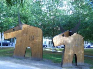DSCN1310.JPG