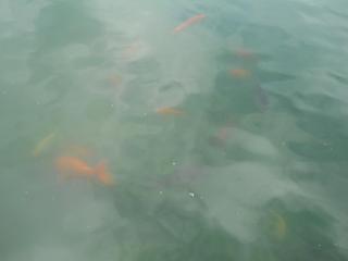 DSCN0395.JPG