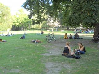 DSCN0238.JPG