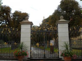 DSCN0288.JPG
