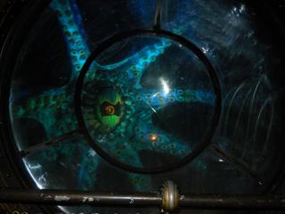 DSCN1223.JPG