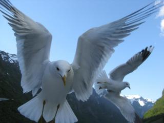 IMG_7540.JPG