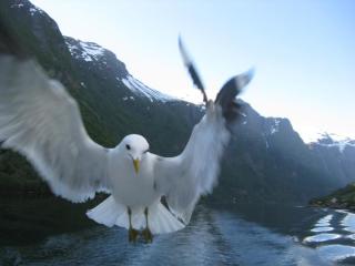 IMG_7543.JPG