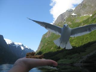 IMG_7524.JPG