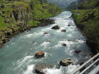 IMG_7694.JPG