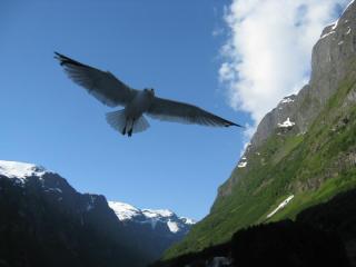 IMG_7544.JPG