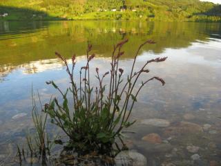 IMG_7438.JPG