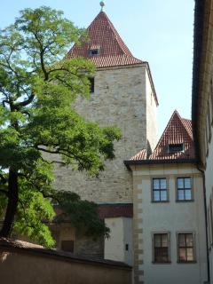 P1060048.JPG