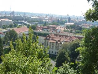 P1060051.JPG