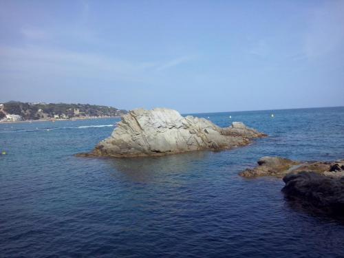 CAM004691.jpg