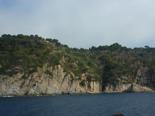 P1110759.JPG