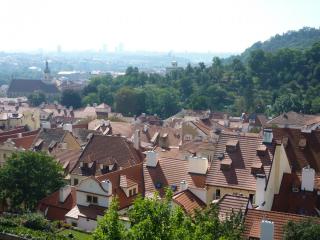 P1060014.JPG