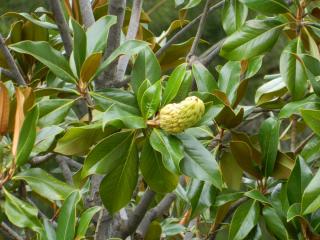 DSCN3757.JPG