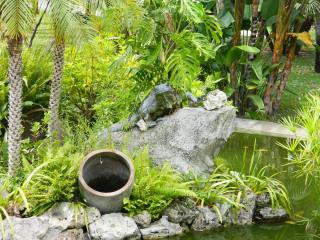 DSCN3730.JPG