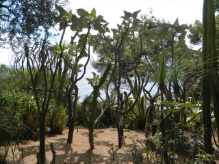 DSCN3597.JPG