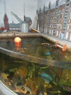 DSCN1738.JPG