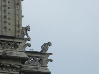 DSCN2977.JPG