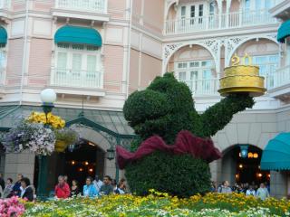 DSCN3245.JPG