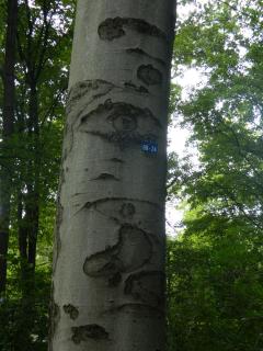 DSCN2067.JPG