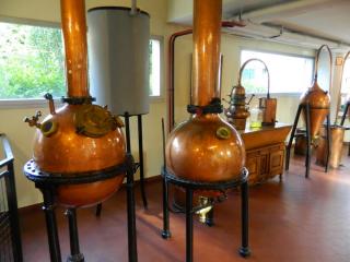 DSCN3259.JPG