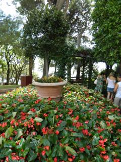 DSCN3590.JPG