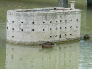 DSCN2857.JPG