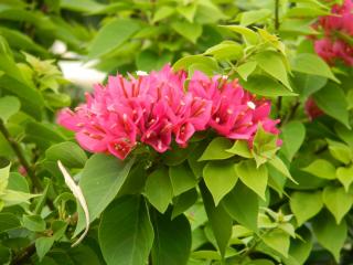 DSCN3720.JPG