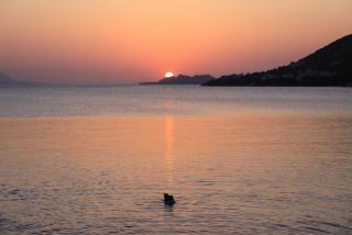 IMG_6835.JPG