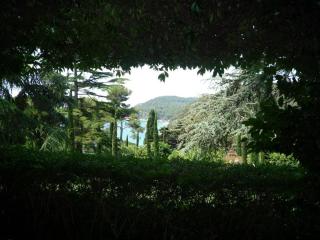P1090961.JPG