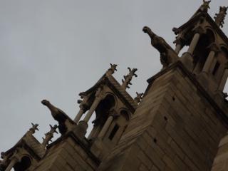 P1070514.JPG