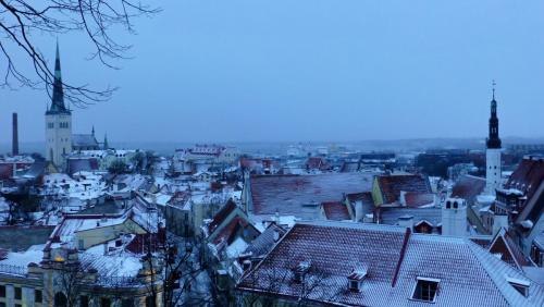 P1100766.JPG