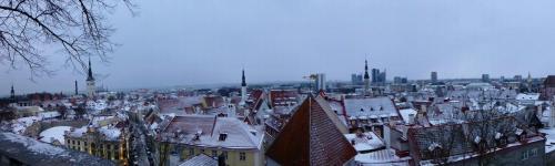 P1100759.JPG