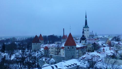 P1100769.JPG