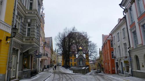 P1110919.JPG