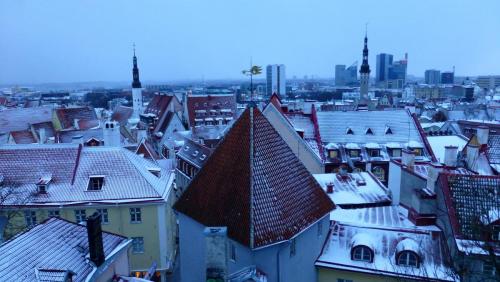 P1100756.JPG