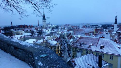P1100758.JPG