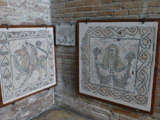 P1030438.JPG
