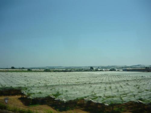 f12774272.jpg