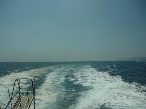 f14716416.jpg