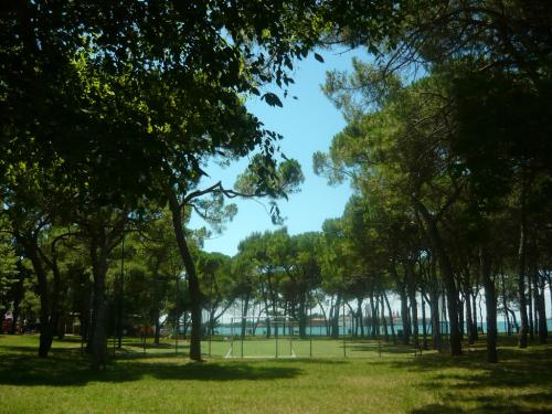 image5.jpeg