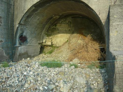f10228288.jpg