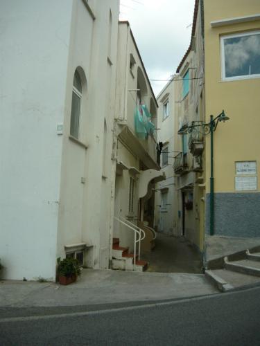 image15.jpg