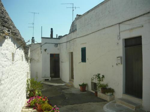 f13193856.jpg