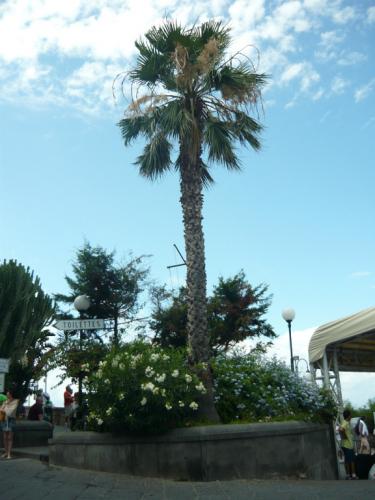 image12.jpg