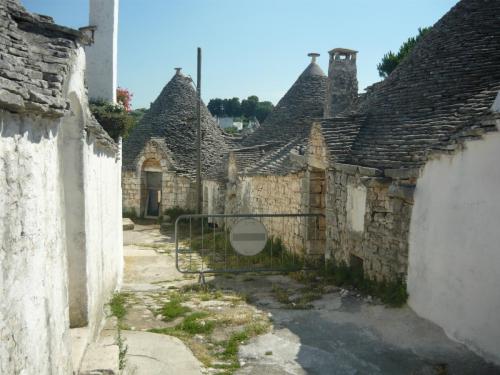 f13338304.jpg