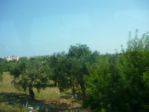 f10835840.jpg