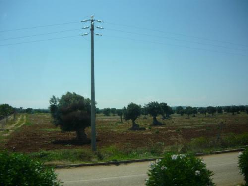 f12821248.jpg