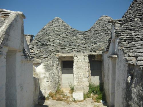 f13231552.jpg
